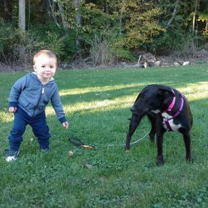 Meet your Posher, Dave